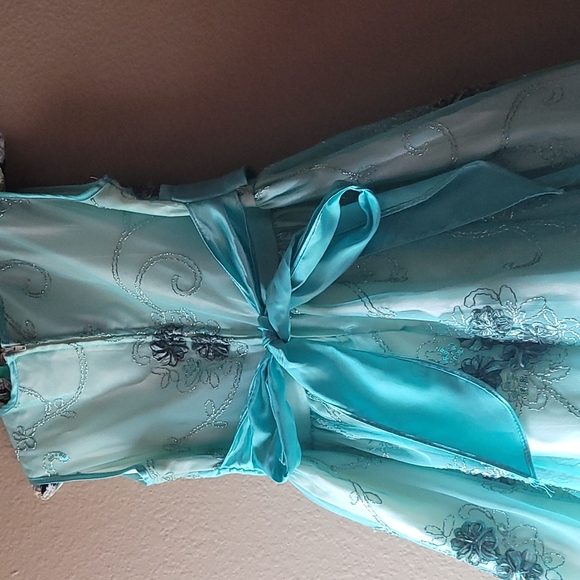 Party Dress - Picture 4 of 6